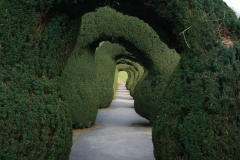 gardens-tree-tunnel